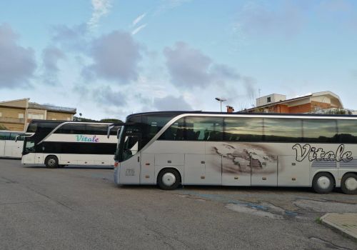Vitale viaggi