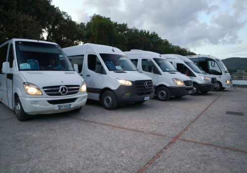 D’Agostino tour srl